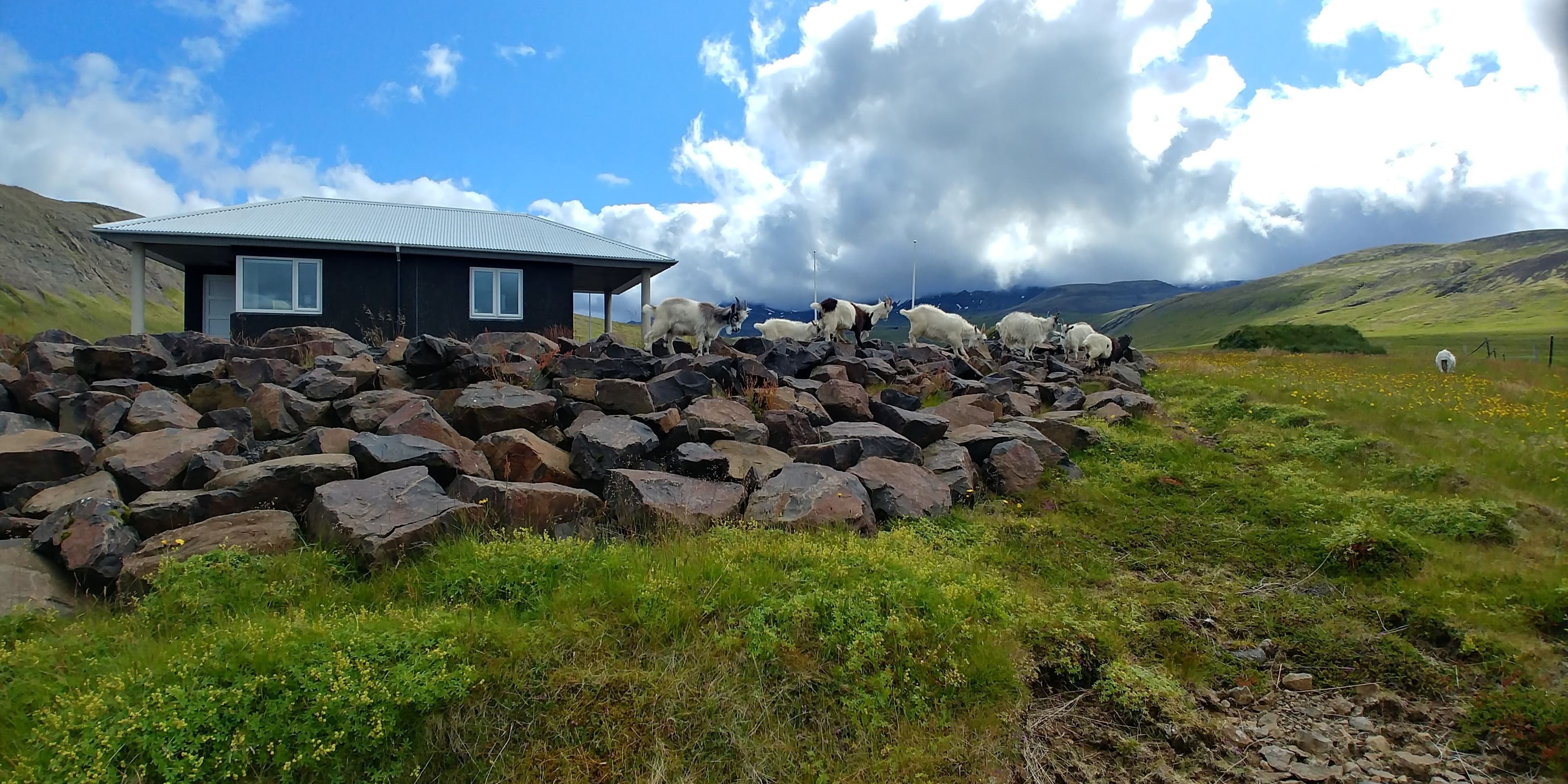 Hrísakot, Helgafellssveit